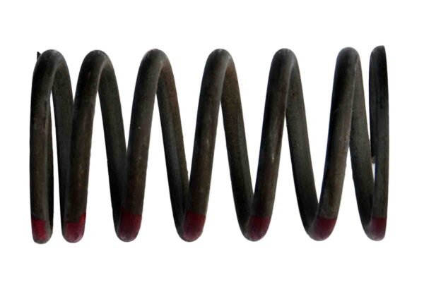 E/VALVE SPRING O/M FT KPR