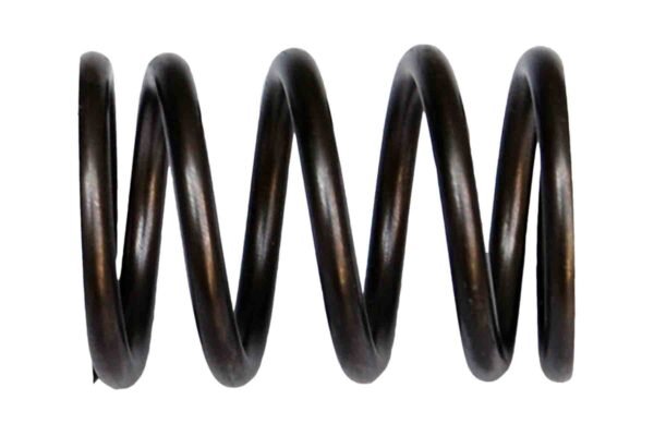 E/VALVE SPRING N/M FT KPR